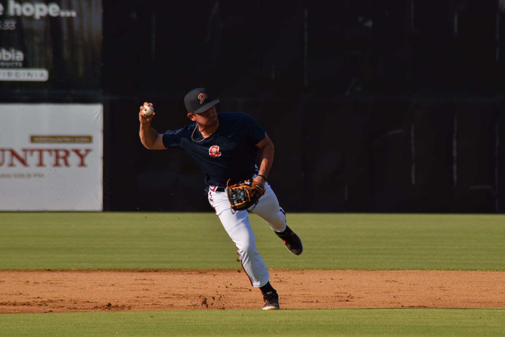 Danville Braves Fan Fest
